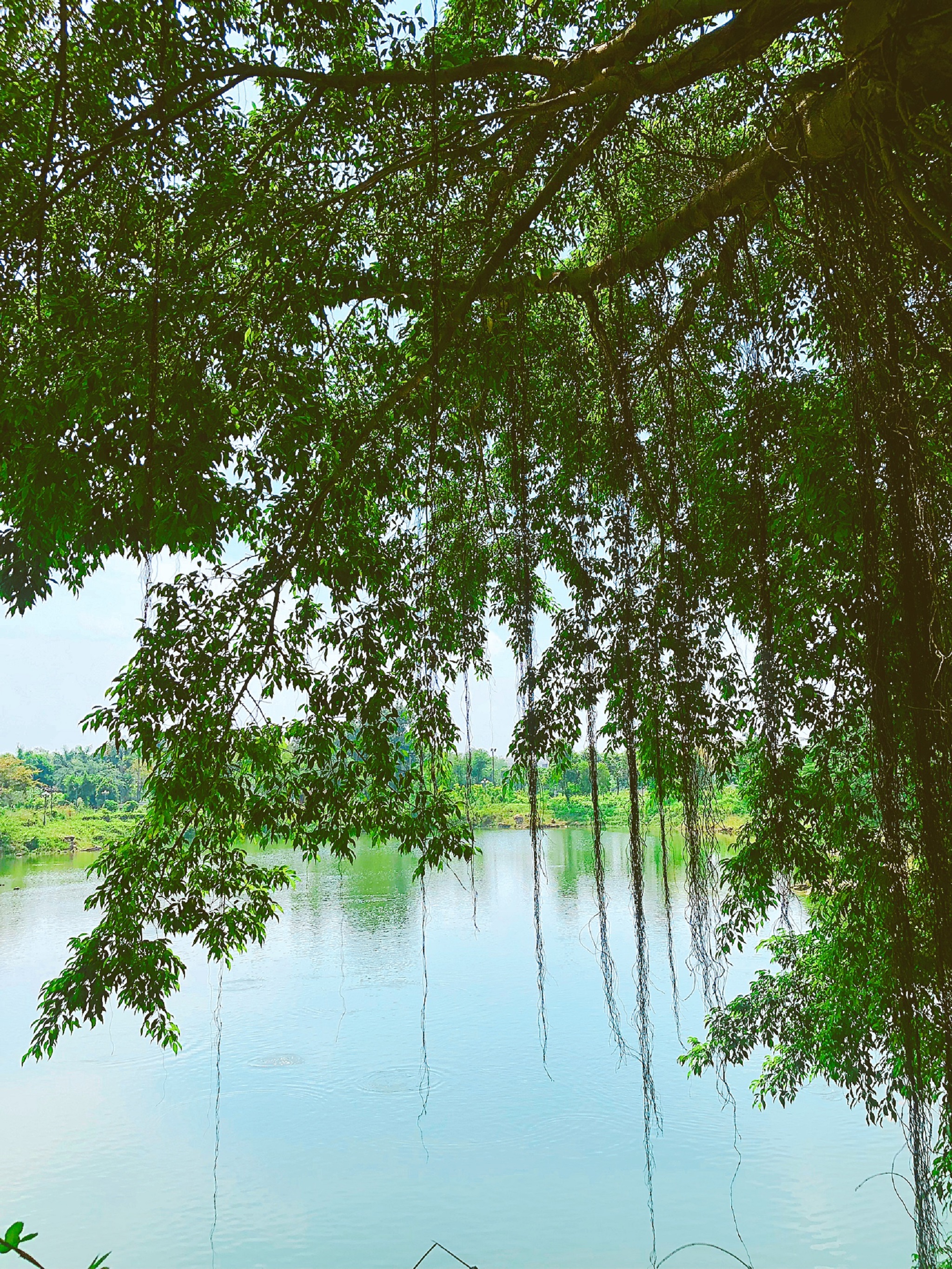 Văn Miếu Trấn Biên Đồng Nai