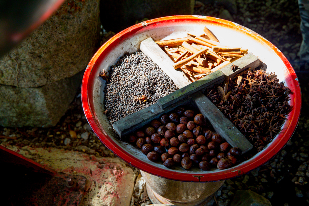 Tropical Spice Garden - Cuti Sekolah 2023