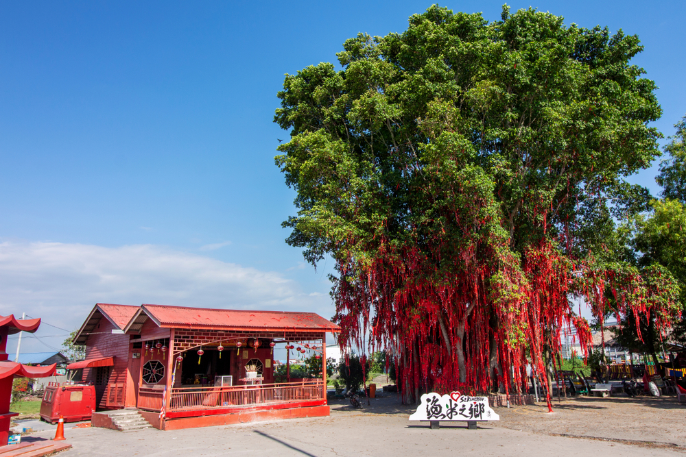 Sekinchan Wishing Tree - Tarikan di Sekinchan