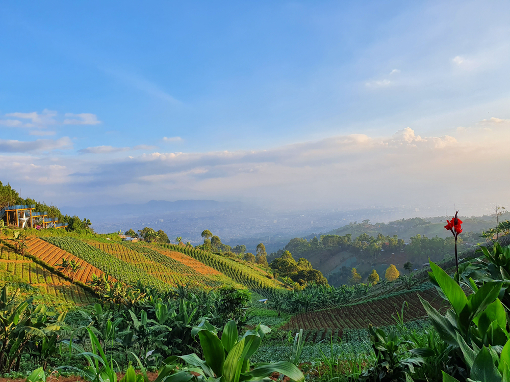 Bandung, Kota Ternyaman di Indonesia untuk Ditinggali