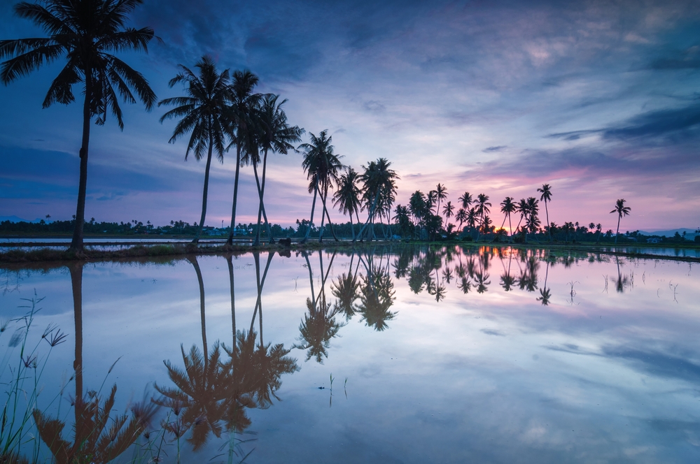 Sky Mirror Sekinchan - Tarikan di Sekinchan