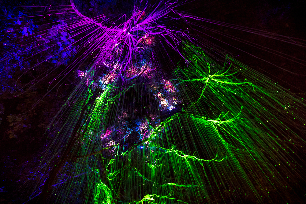 Penang Avatar Secret Garden - Cuti Sekolah 2023