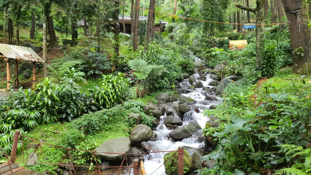 Tempat wisata curug di Bogor