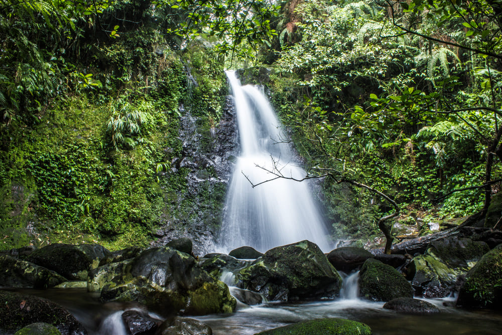 Curug di Bogor yang bagus