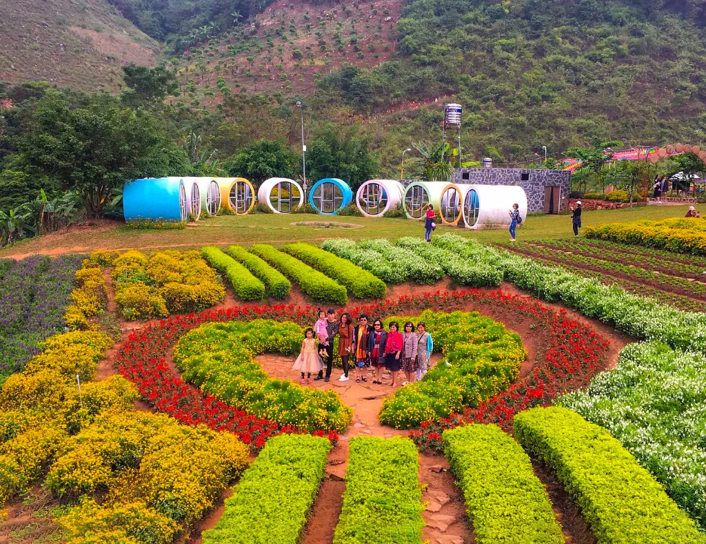 Vườn hoa Mộc Châu Happy Land 
