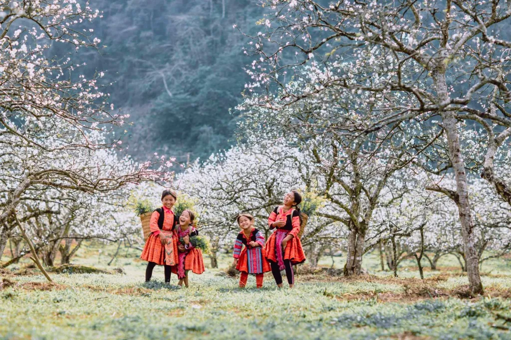 Mùa xuân đầy mộng mơ của núi rừng Tây Bắc với hoa đào, hoa ban