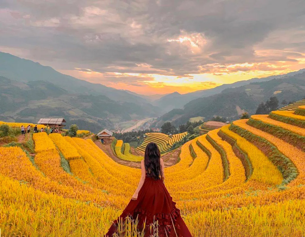 Núi rừng Tây Bắc sẽ được khoác lên bộ áo vàng của mùa thu