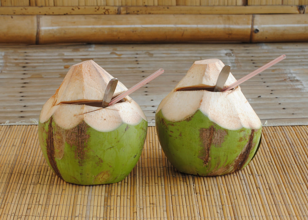 Es Degan Khas Jombang