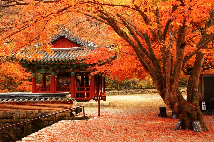 khí hậu Hàn Quốc