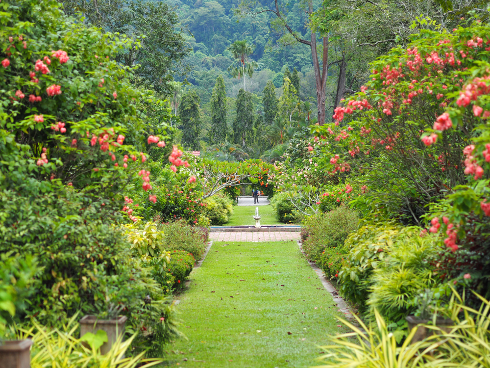 Penang Botanic Gardens