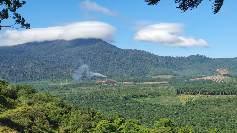 Gunung Ledang (mount ophir)
