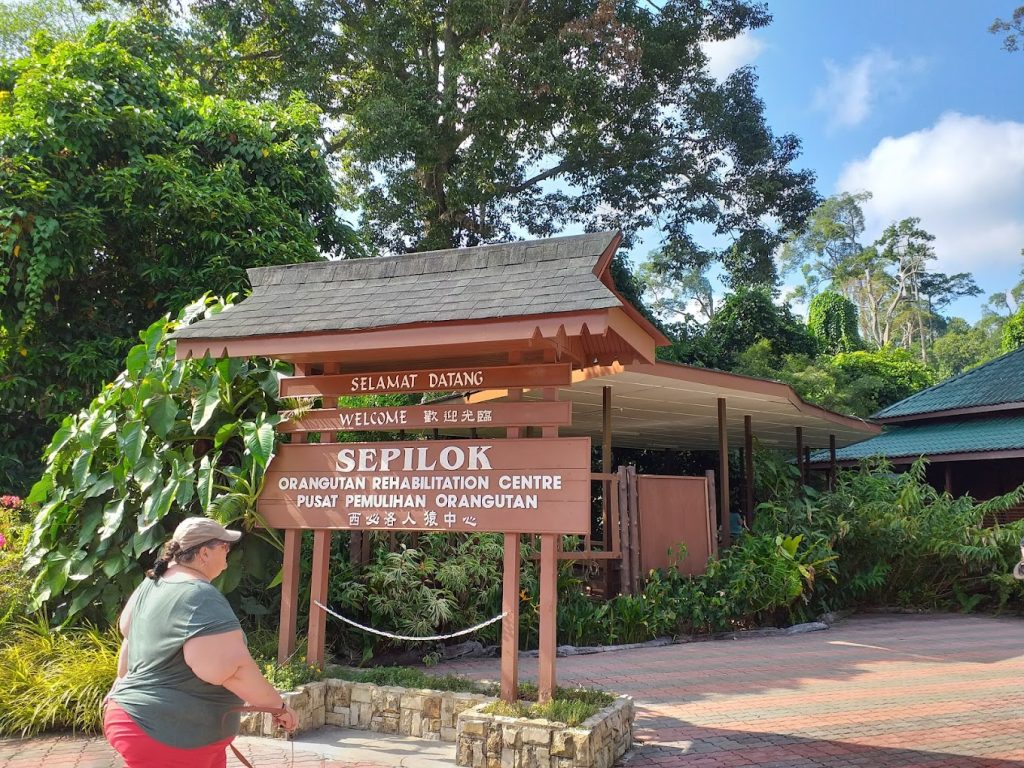 Sepilok Orangutan Rehabilitation Centre 