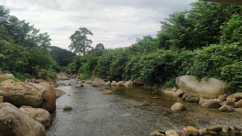Hutan Lipur Rekreasi Tupah