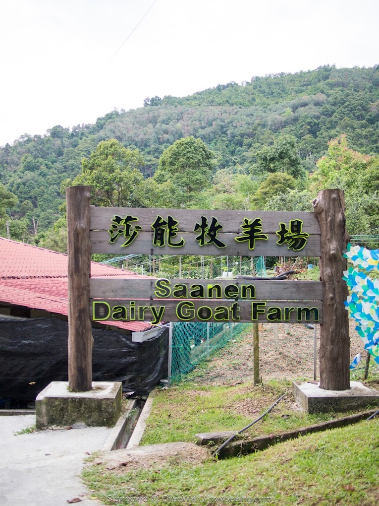 Saneen Goat Farm
