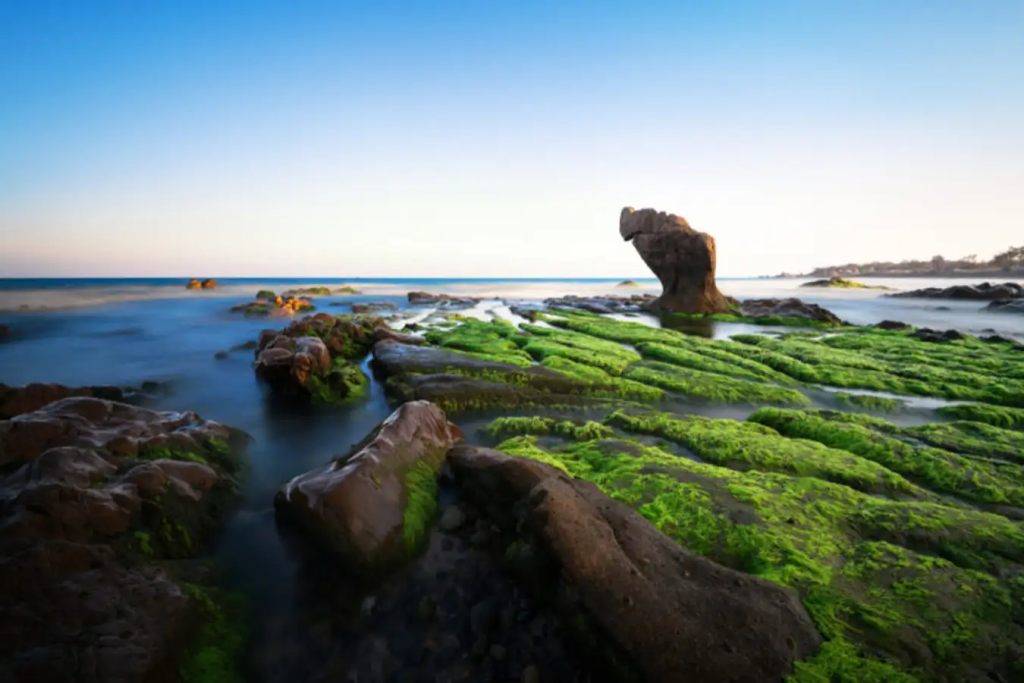 Co Thach Beach