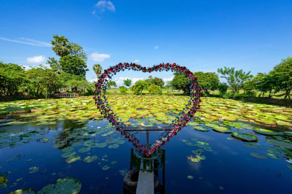 พิษณุโลก