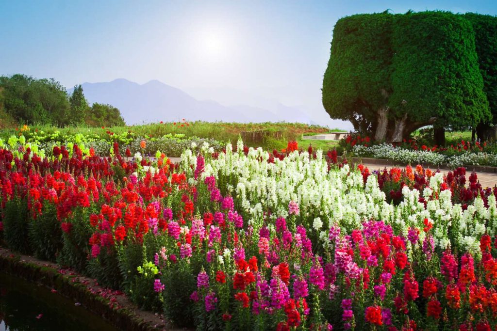 เที่ยวเชียงใหม่