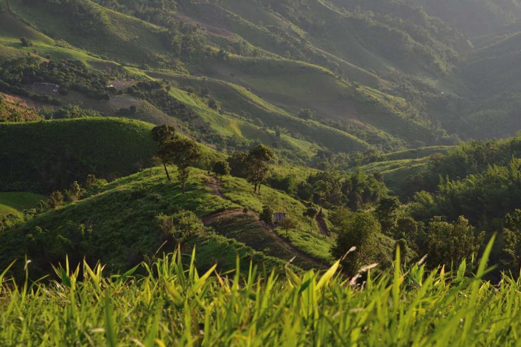 เที่ยวเชียงราย