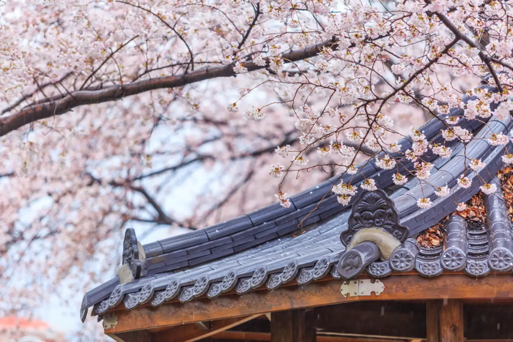 ท็อกซูกุง (Deoksugung Palace)