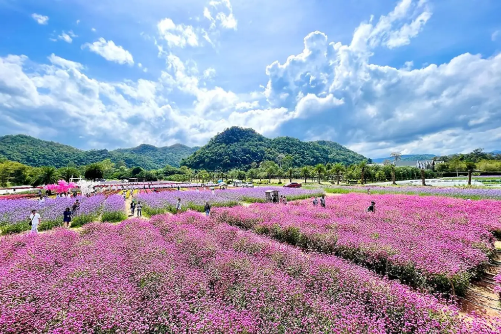 เที่ยวสวนดอกไม้ Hokkaido Park เขาใหญ่