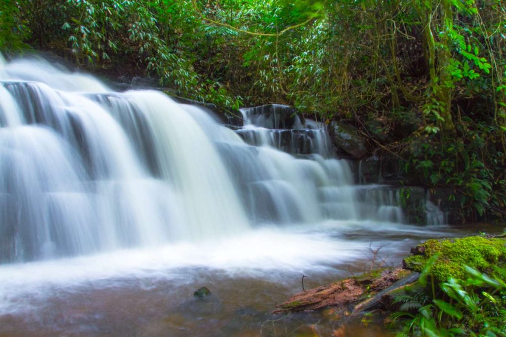 เที่ยวพิษณุโลก 2025