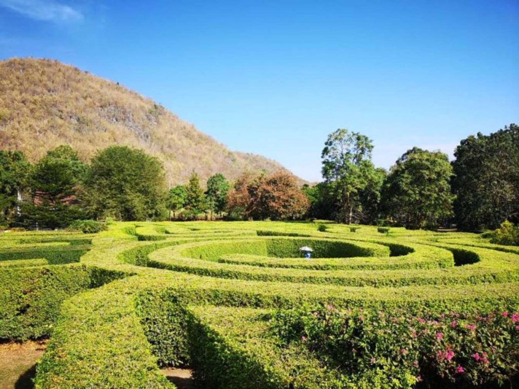 Pete Maze ปากช่อง