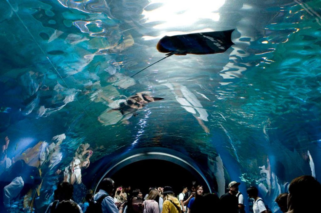 Maxell Aqua Park
