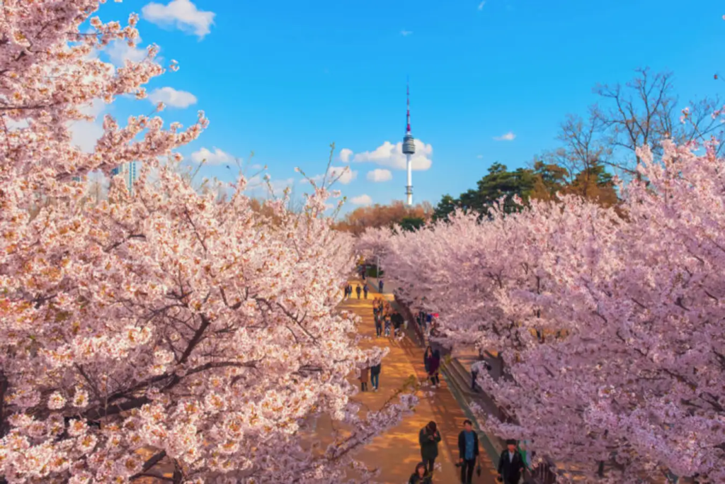สวนสาธารณะนัมซาน (Namsan Park)