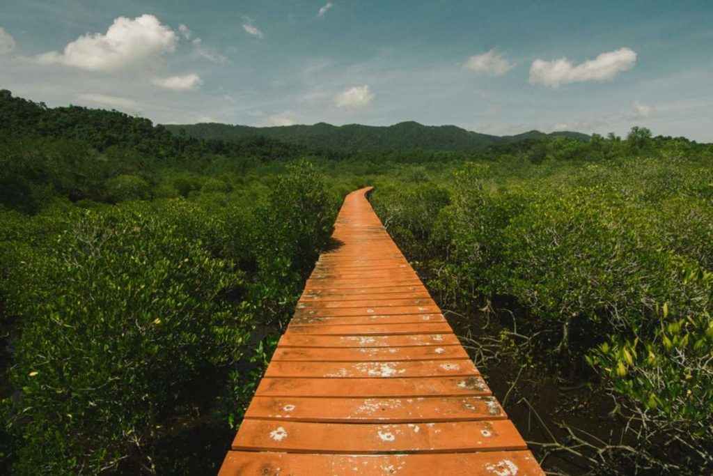 ป่าชายเลนสลักเพชร