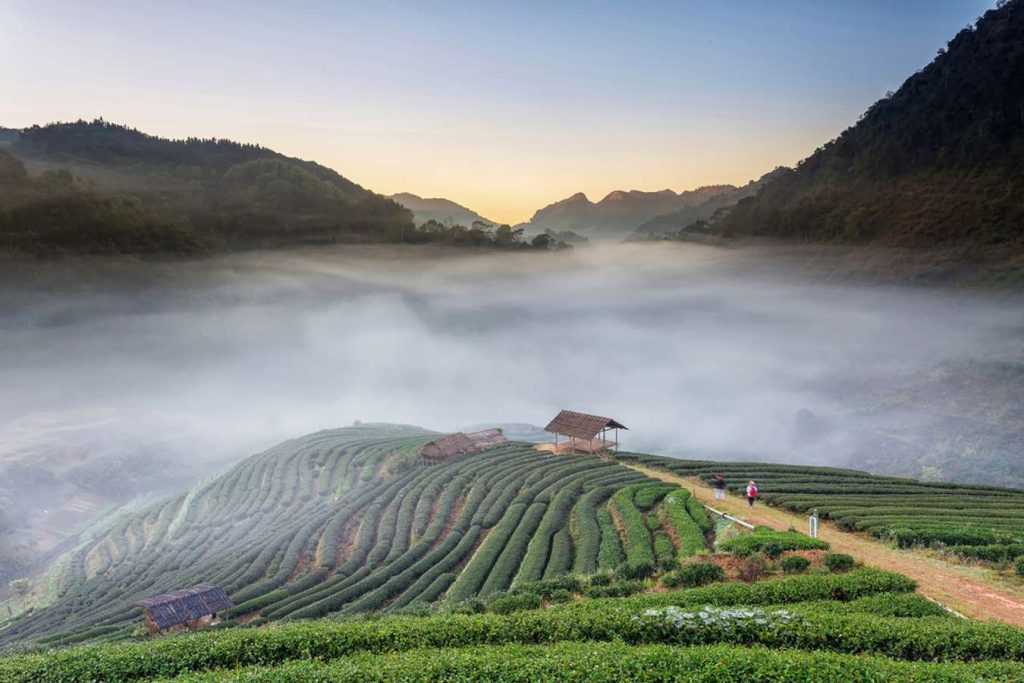 เที่ยวเชียงราย