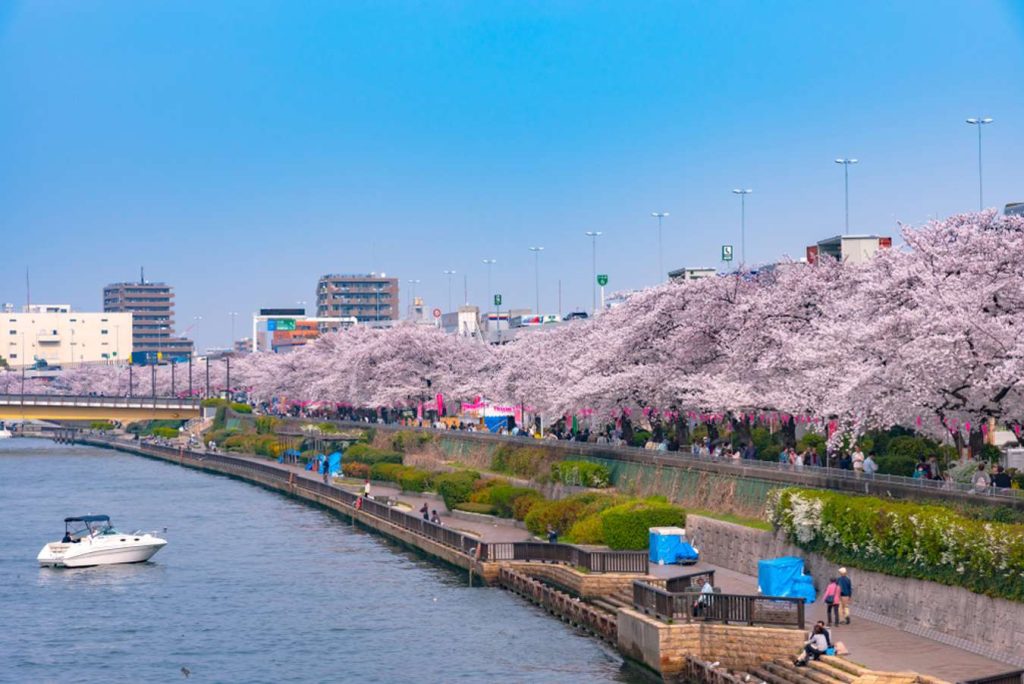 Sumida River