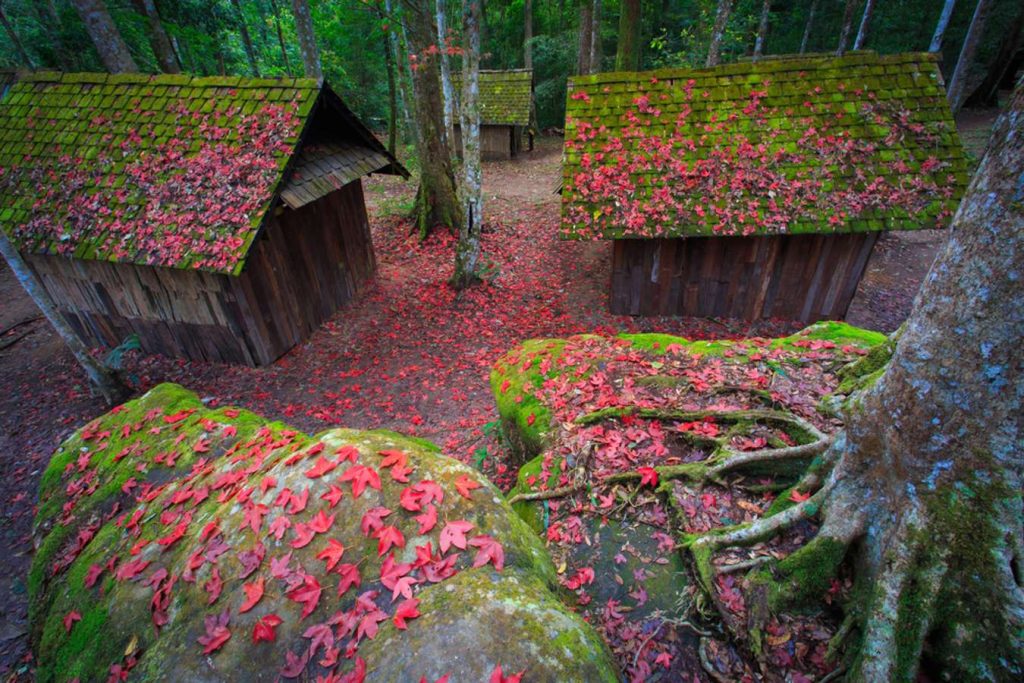 เที่ยวพิษณุโลก 2025