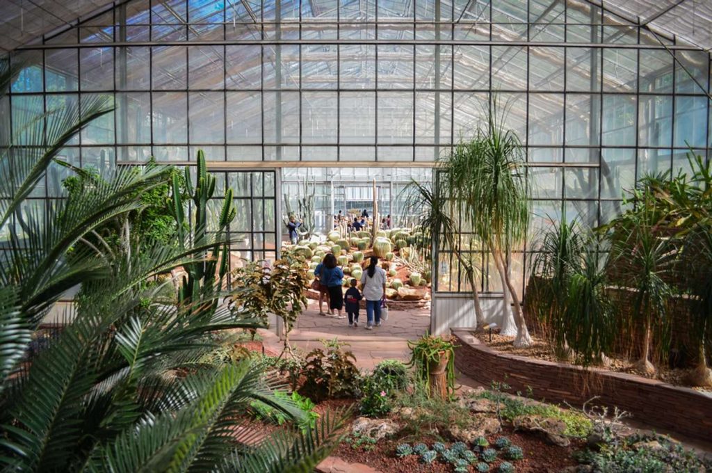 เที่ยวเชียงใหม่