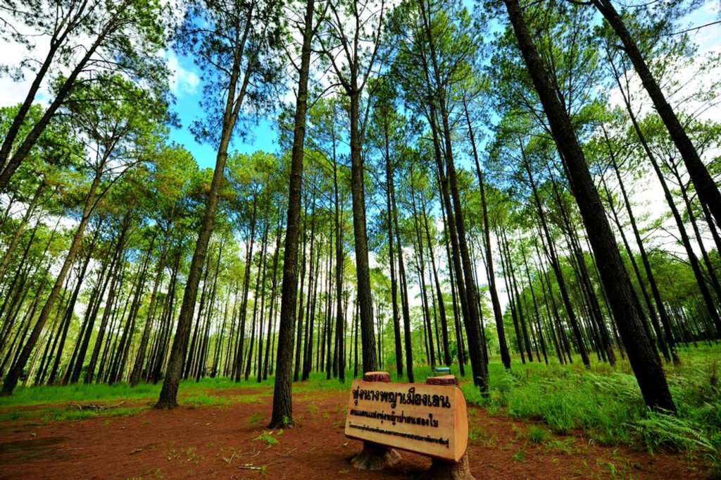 ท่องเที่ยวพิษณุโลก