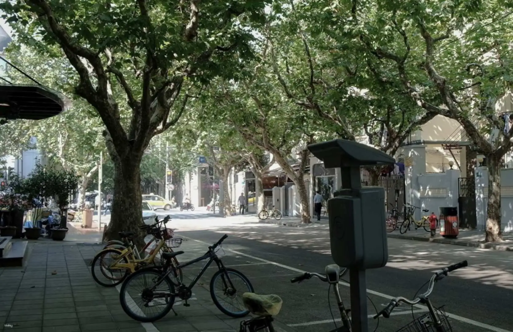 ย่าน Former French Concession