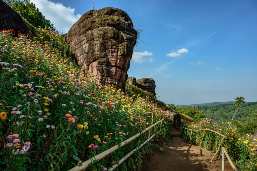 ภาษาพิษณุโลก