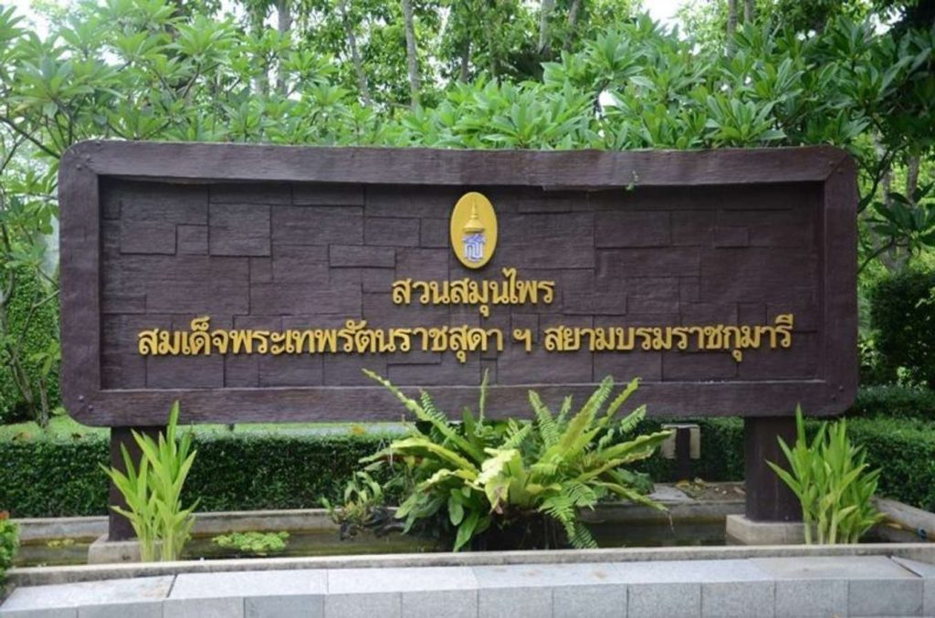 สวนสมุนไพร ระยอง