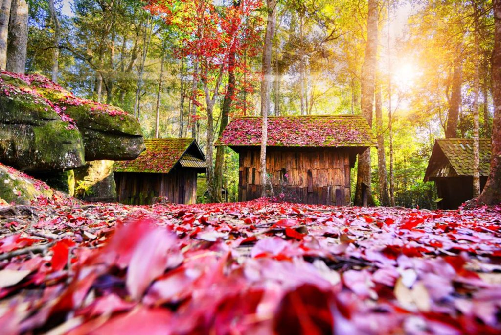 สถานที่ท่องเที่ยวพิษณุโลก