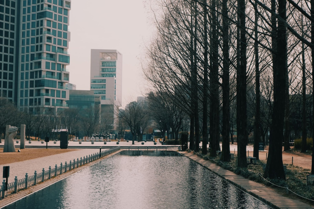 สวนป่ากรุงโซล (Seoul Forest)