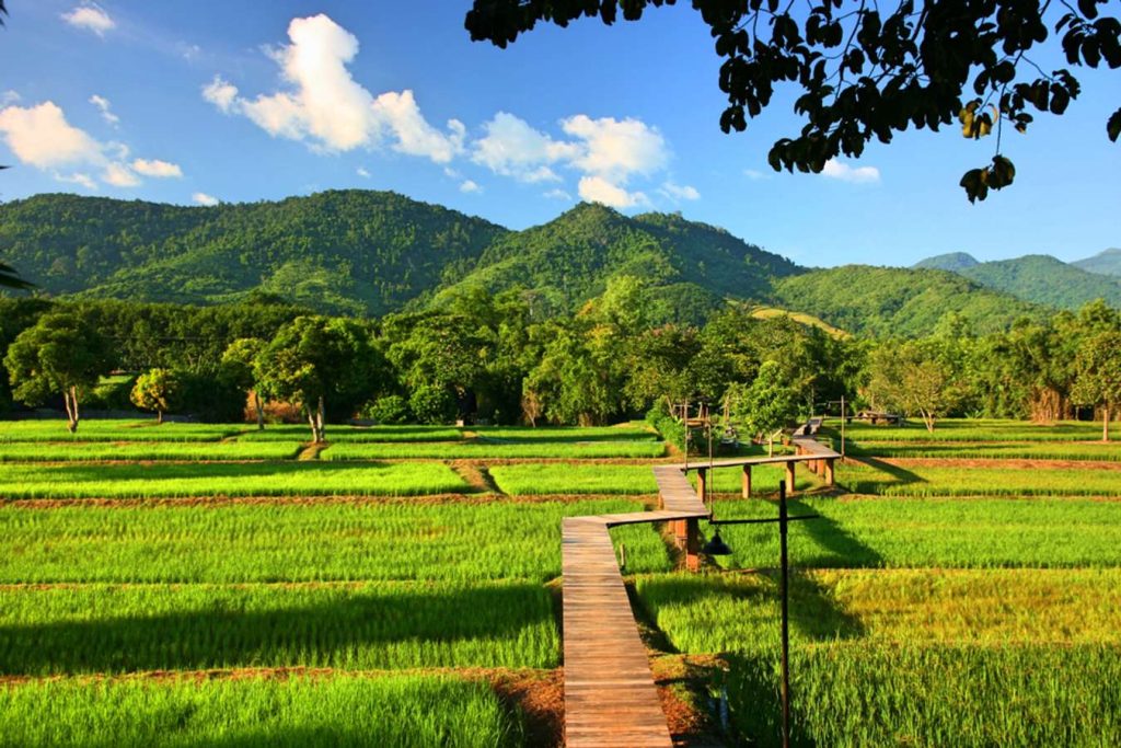 เที่ยวเชียงราย