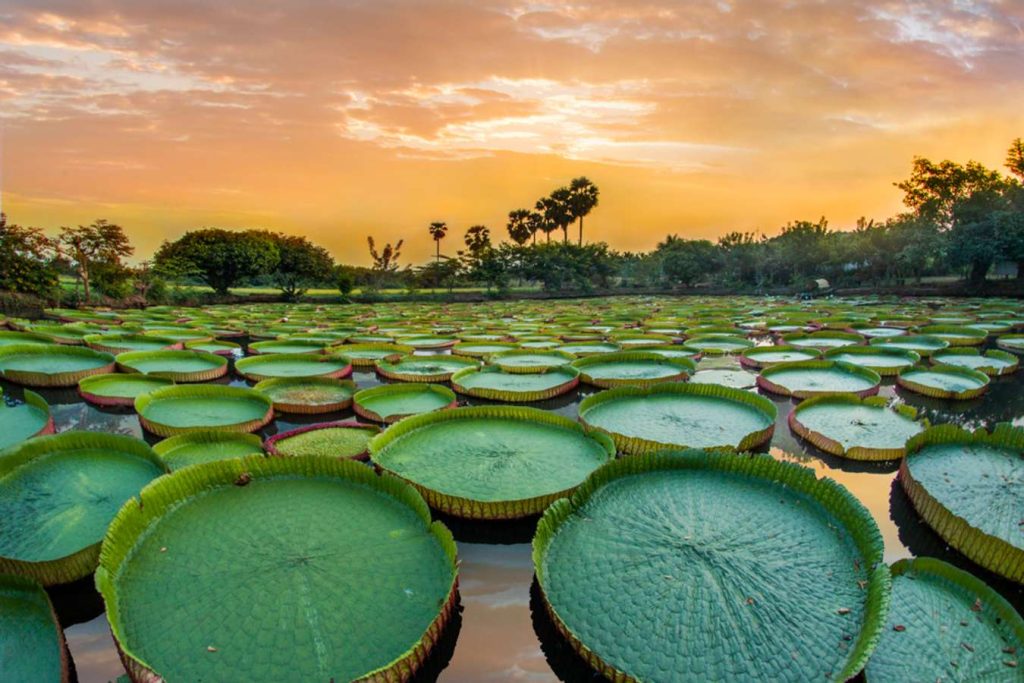 เที่ยวพิษณุโลก 2025