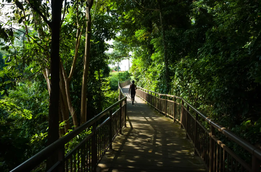 Mount Faber