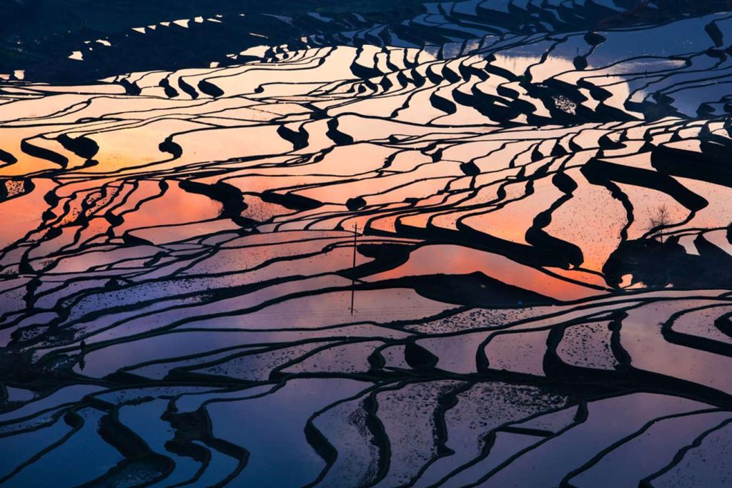 Yuanyang Rice Terrace