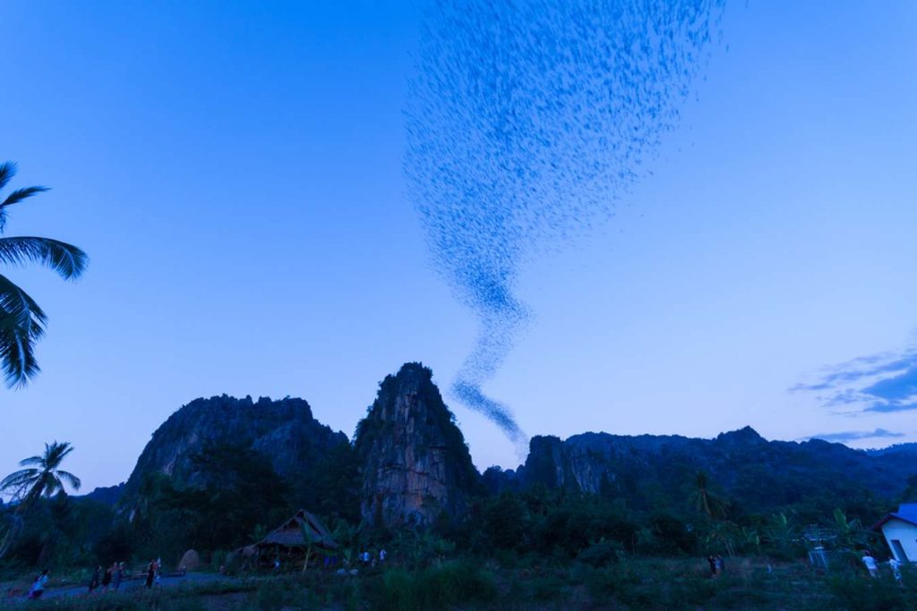 ประเทศพิษณุโลก เมืองหลวง