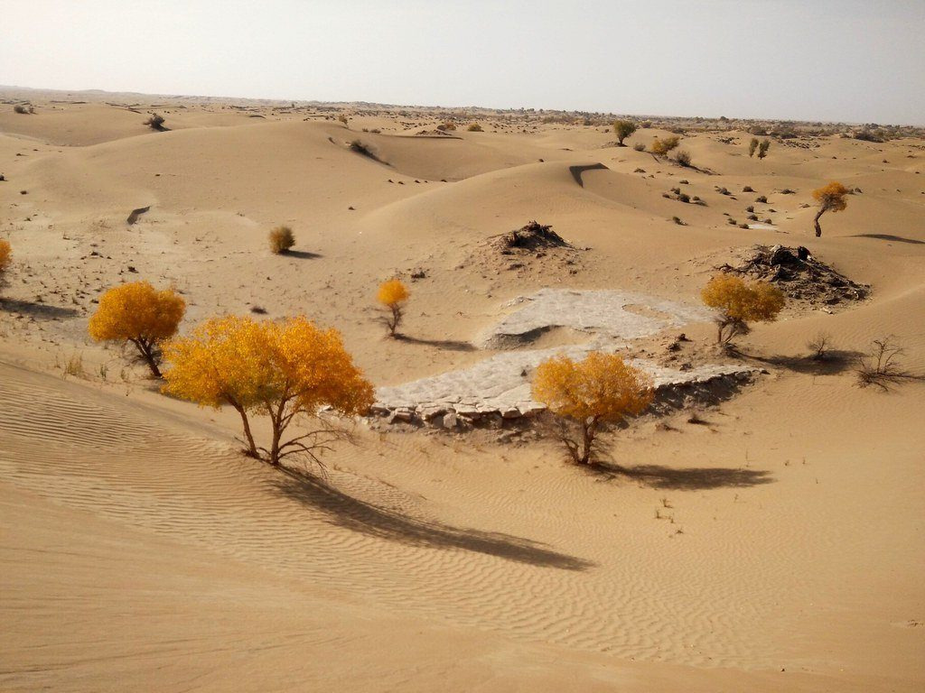 Sa mạc ở Tân Cương