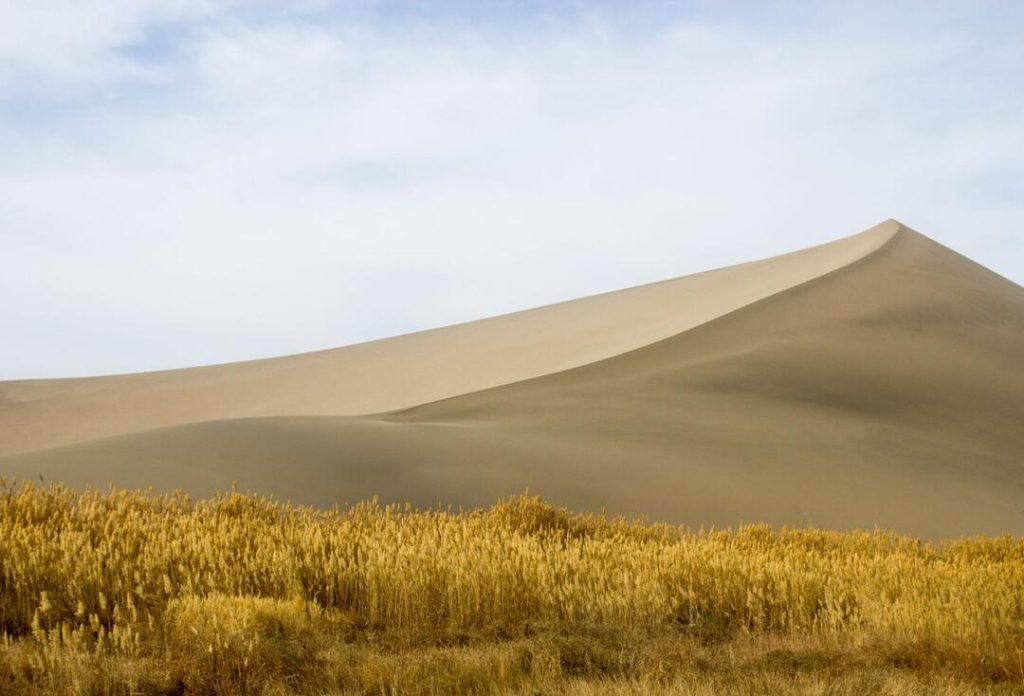 Mùa thu Tân Cương