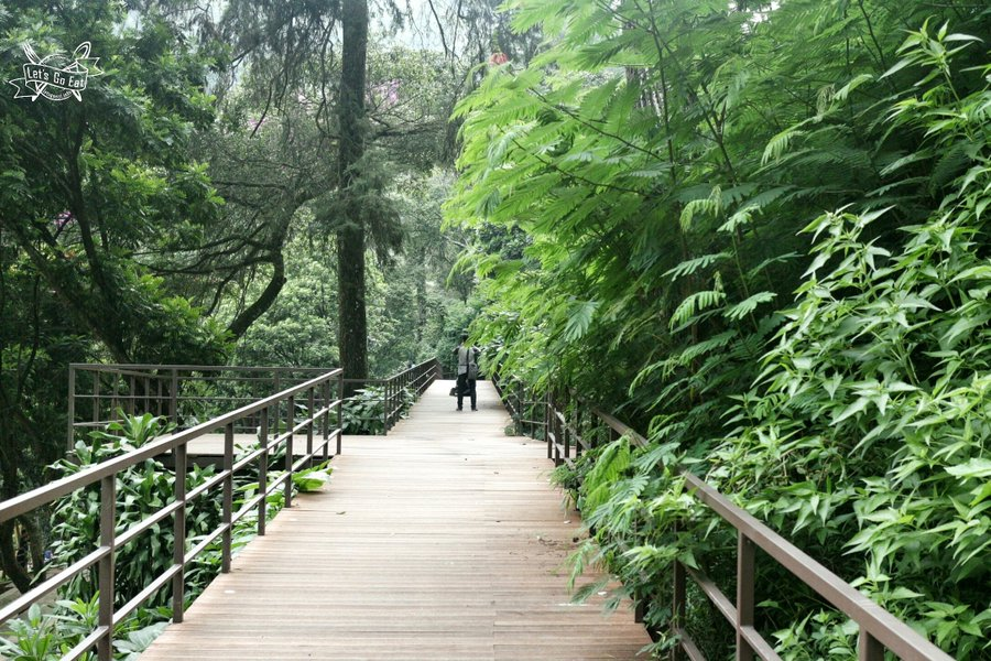 Sky Bridge Tapak Halimun