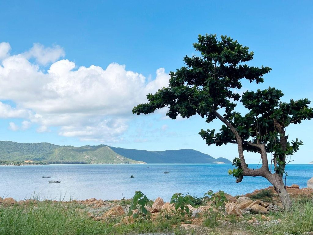 Côn Đảo Vũng Tàu