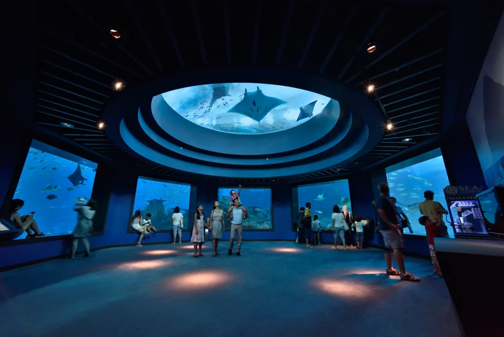 thuỷ cung S.E.A Aquarium