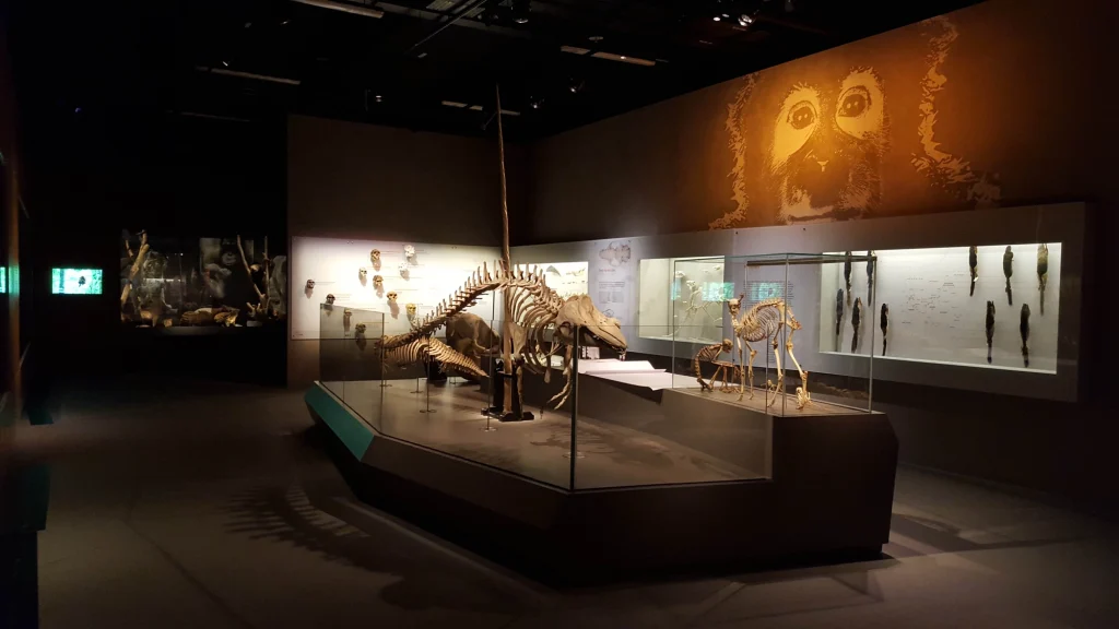 Lee Kong Chian Natural History Museum